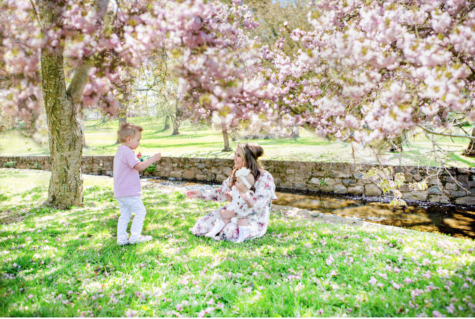 Cherry Blossom Mini Session Wednesday, April 12th & Saturday, April 15th | Screen_Shot_2023-03-16_at_5.01.20_PM.png