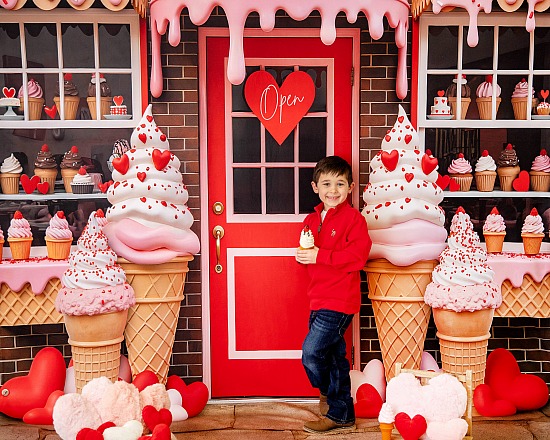 2026 Valentine Mini Sessions